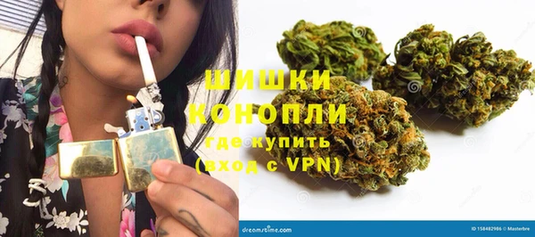 PSILOCYBIN Козельск