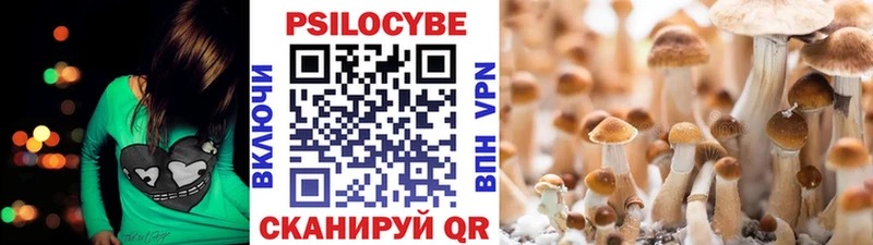 где продают наркотики  Сусуман  Галлюциногенные грибы мухоморы 